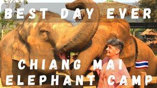 Do this!  Elephant camp / visit Chiang Mai.  What to look for when choosing elephant sanctuary visit