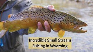 Wind River Wyoming - Trout Paradise