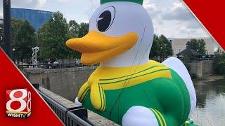 Giant Oregon Duck makes splash in Indianapolis