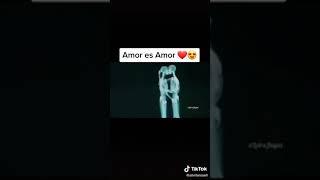 #LGBT #AmorEsAmor