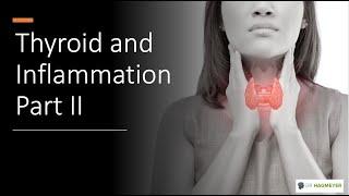 How Inflammation Causes Low Thyroid-Part I Dr Hagmeyer