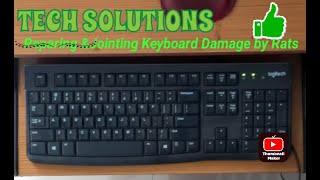 How to Repair and Jointing Keyboard Wire Damaged by Rats|TechSolutionsDey