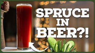 This SPRUCE BEER will blow your mind! [Holiday Doppelbock Recipe]