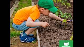 Garden Box - Gypsum for your garden