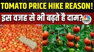 Tomato Price Hike Reason | सिर्फ 3 से 4 दिनों में क्यों आसमान छू गए टमाटर के दाम? | Monsoon Impact