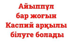 Айыппұл бар жоғын Каспий арқылы білуге болады