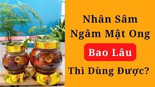 Nhân Sâm Ngâm Mật Ong Bao Lâu Thì Dùng Được? - Thi Đặng - ANaNa Nhân Sâm Korea