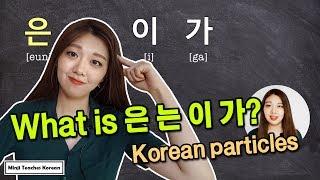How to Use 은/는/이/가 ?! Korean Subject & Topic Markers