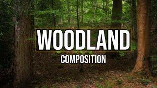 Woodland Photography | Working on Composition