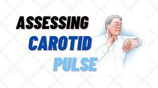 How to find and assess carotid pulse rate