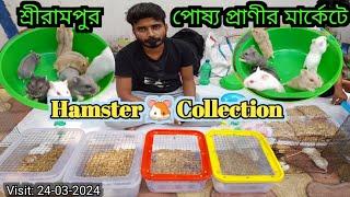 Serampore Pet Market | Hamster Breed Guide| Any types of hamster are available at a very cheap price