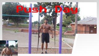 Get Ripped with this Push Workout!  #calisthenics #sethlrouse #pushday #chestexercise