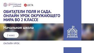 Обитатели поля и сада. Онлайн урок окружающего мира во 2 классе