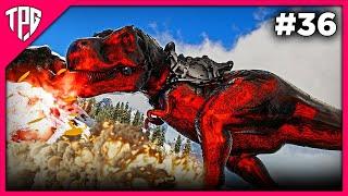 Taming an ENORMOUS CHAOS REX! - ARK Primal Fear Tamil [EP36]