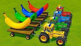 TRANSPORT OF COLORS ! GIANT COLORED BANANA TRANSPORT WITH CASE POLICE TRACTORS! Farming Simulator 22