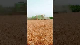 standard combine #viral #combine #subscribe my channel 