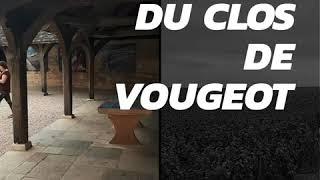 Gastronomy in Burgundy : Château du Clos Vougeot, Mulot & PetitJean's factory, Tuyé du Papy Gaby