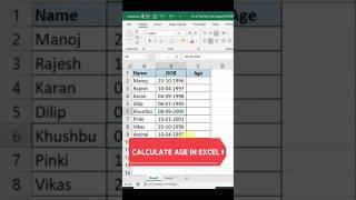 Calculate Age in Microsoft Excel#age#exceltips #dataentry#remotejobs #empleos #company #excel