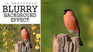 Photoshop Tutorial - Focus Area Selection | Blurry Background Effect