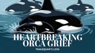 "Orca Mom Tahlequah Carries Dead Calf Again | Grief and Endangered Southern Resident Orcas"