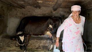 Himachali Village Life || Pahadi Life || Mayka Vlog after so long || @CoolPahadi