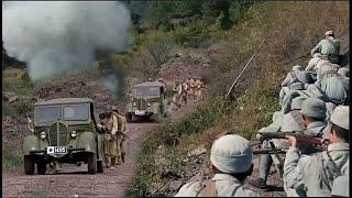 The Chinese army ambushed the Japanese army on the road, destroying them.