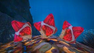 How to find rubies in Subnautica Below Zero 2021! 3 different locations!