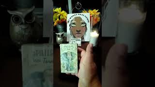 Tarot & Oracle Cards #temu  #haul