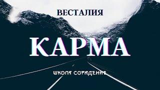 Ключ по работе с кармой  #классификация_кармы#коджизни #Весталия #карма #школаСорадение #белый_свет