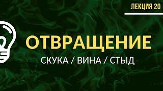 Как убрать из жизни то, что нас отравляет? / Лекция №20 (полностью)