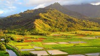 Discover The Secret Waterfalls Of Ancient Hawaii | Travel Documentary