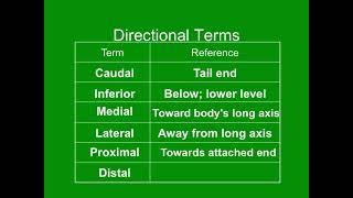 Unit 1 - Video 5.1 - Anatomical Directions