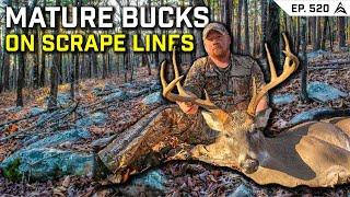 Scrape Lines: The Secret to Tagging Mature Bucks