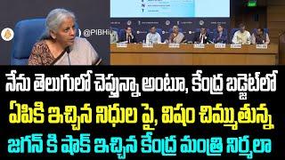 నేను తెలుగులో చెప్తున్నా అంటూ, కేంద్ర బడ్జెట్ లో ఏపికి ఇచ్చిన నిధుల పై, విషం చిమ్ముతున్న జగన్ కి