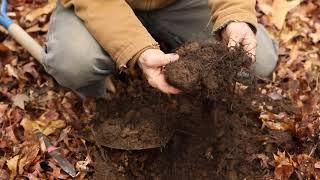 Soil Pit Lab - 3 with Professor Ray Weil: Forest Floor