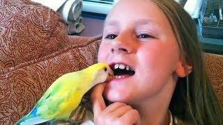 Most CREATIVE ways to PULL TEETH! - Funny Kids FAILS Compilation