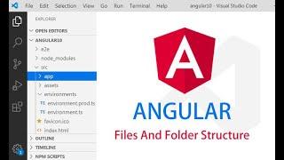 Angular 10 project structure for beginners