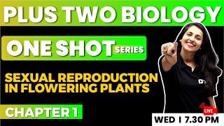 PLUS TWO BIOLOGY | One Shot Series | Sexual Reproduction in Flowering Plants | EXAM WINNER