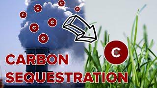 What is Carbon Sequestration?