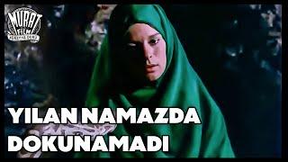 Namazına Yılan Bile Dokunamadı | Rabia