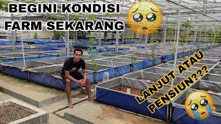 KONDISI FARM SEKARANG 