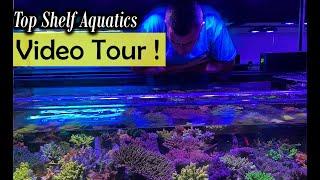 Top Shelf Aquatics 2023 Video Tour