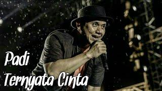 Padi - Ternyata Cinta (Lirik Video)