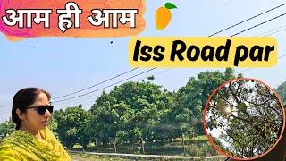 पूरा रोड आम से भरा हुआ ,Rishikesh Dehradun Beautiful Road-Rishikesh-Dehradun