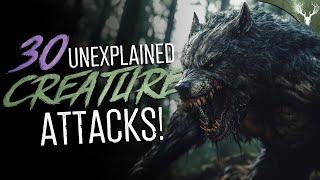 30 UNEXPLAINED Creature Attacks and Encounters! (COMPILATION)