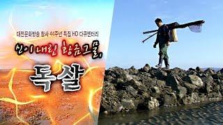 대전MBC 창사 44주년 특집 다큐멘터리 신이 내린 황금 그물, 독살(2008년)