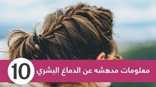 عشر معلومات مدهشه عن الدماغ البشري