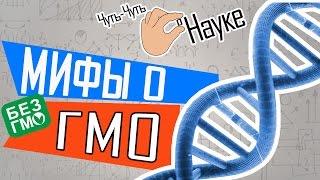 Все ли ты знаешь о ГМО? Мифы о ГМО | Чуть-Чуть о Науке