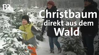 Christbaum selbst im Wald aussuchen | Hospitalstiftung Hof | Wir in Bayern | BR