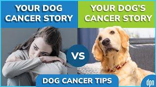 Your Dog Cancer Story | Molly Jacobson